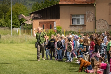 Ptačí představení