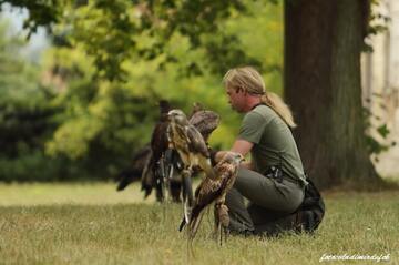 Sokolník a veřejnost